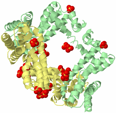 Image Biological Unit 17