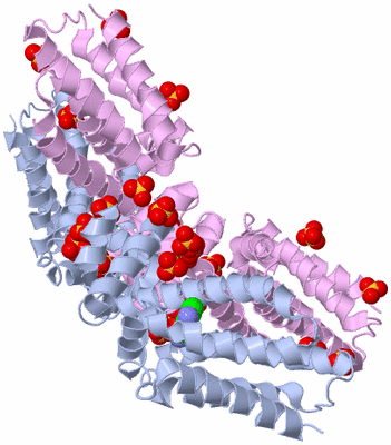 Image Biological Unit 18