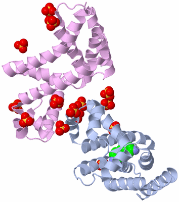 Image Biological Unit 19