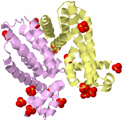 Image Biological Unit 2