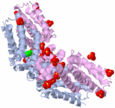 Image Biological Unit 20