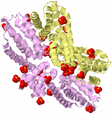 Image Biological Unit 21