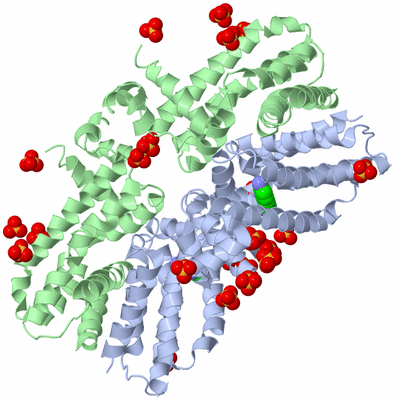 Image Biological Unit 22