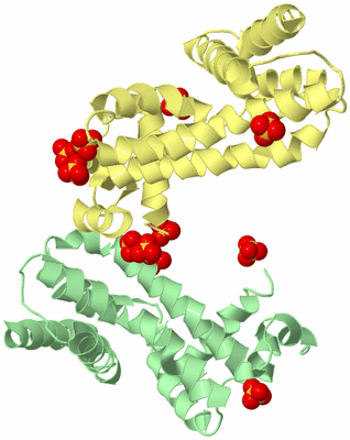 Image Biological Unit 23