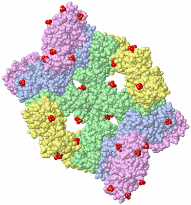 Image Biological Unit 3