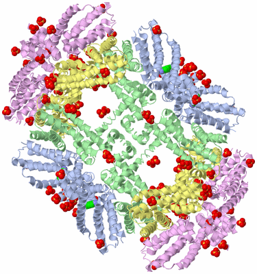 Image Biological Unit 4