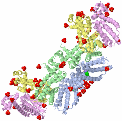 Image Biological Unit 5