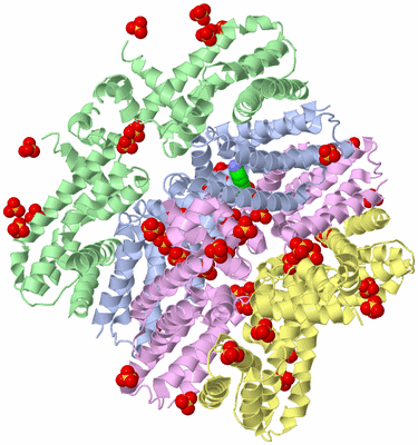 Image Biological Unit 6