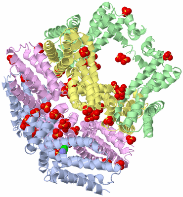 Image Biological Unit 7