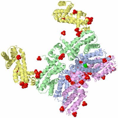 Image Biological Unit 8