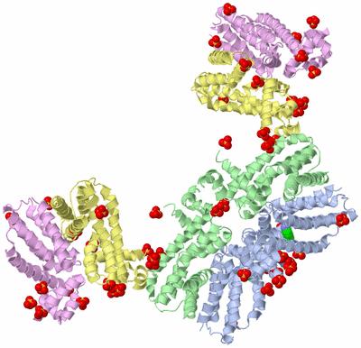 Image Biological Unit 9