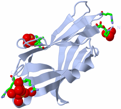 Image Biol. Unit 1 - sites