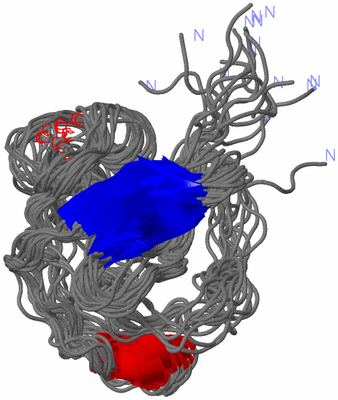 Image NMR Structure - all models