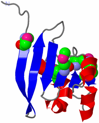 Image Asymmetric Unit