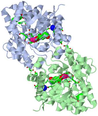 Image Asym./Biol. Unit - sites