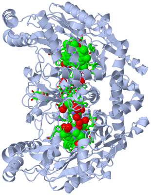 Image Biol. Unit 1 - sites