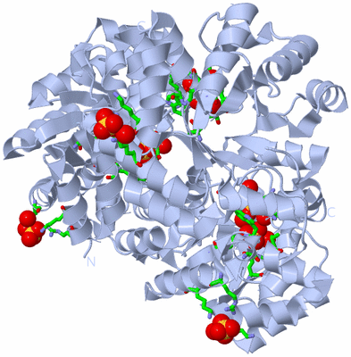 Image Biol. Unit 1 - sites