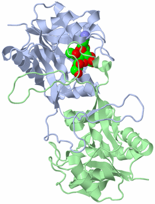 Image Biological Unit 1