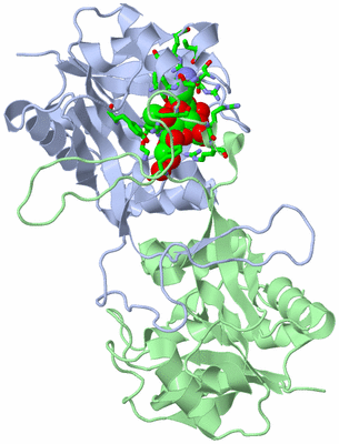 Image Biol. Unit 1 - sites