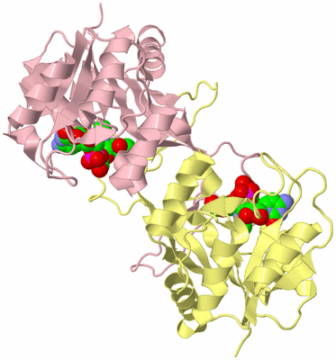 Image Biological Unit 2