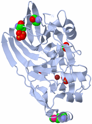 Image Biological Unit 1