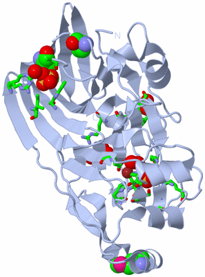 Image Biol. Unit 1 - sites