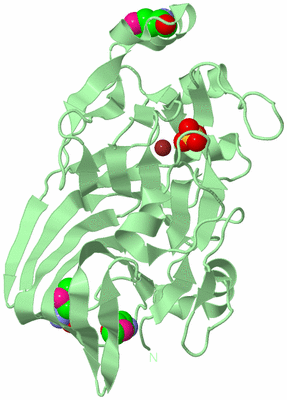 Image Biological Unit 2