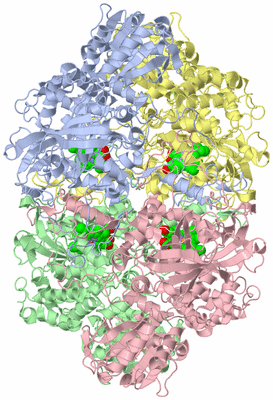 Image Asym./Biol. Unit