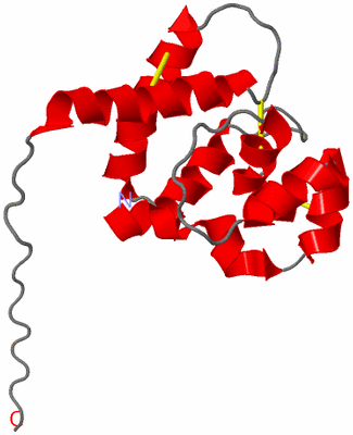 Image NMR Structure - model 1