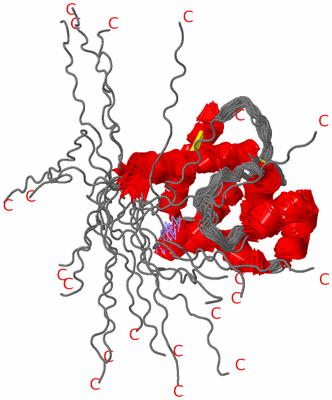 Image NMR Structure - all models