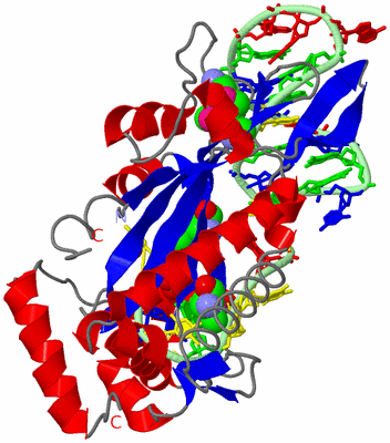 Image Asym./Biol. Unit