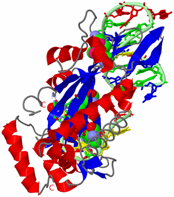 Image Asym./Biol. Unit - sites