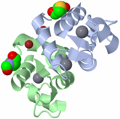 Image Biological Unit 3