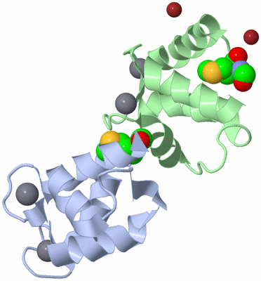 Image Biological Unit 4