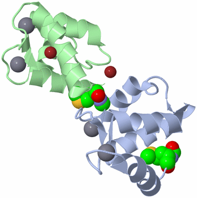 Image Biological Unit 5