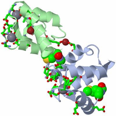 Image Asym. Unit - sites