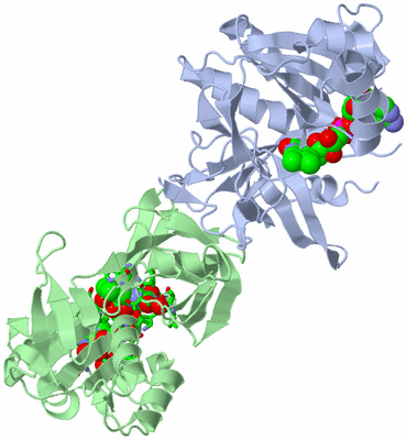 Image Asym./Biol. Unit - sites