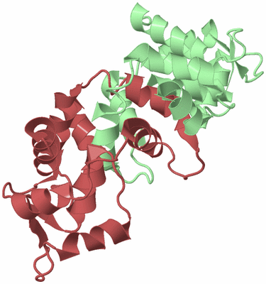 Image Biological Unit 4