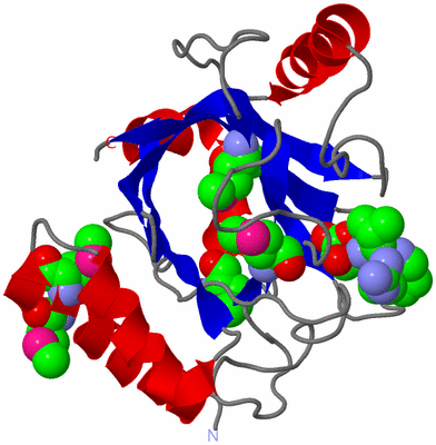 Image Asym./Biol. Unit