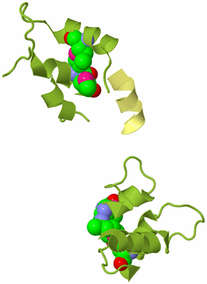 Image Biological Unit 3