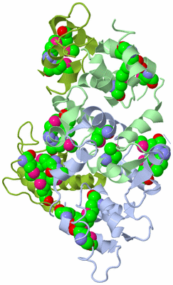 Image Biological Unit 4