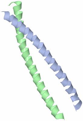 Image Asymmetric Unit