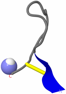 Image NMR Structure - model 1