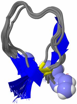 Image NMR Structure - all models