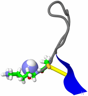 Image NMR Structure - model 1, sites