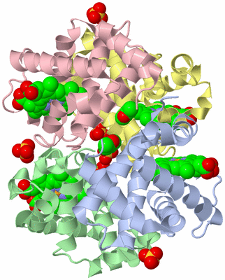 Image Biological Unit 1