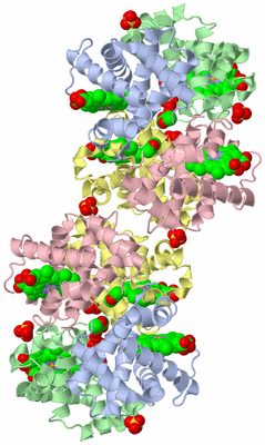 Image Biological Unit 2