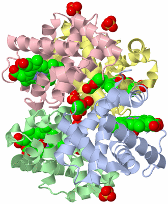 Image Biological Unit 1