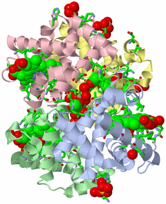 Image Biol. Unit 1 - sites