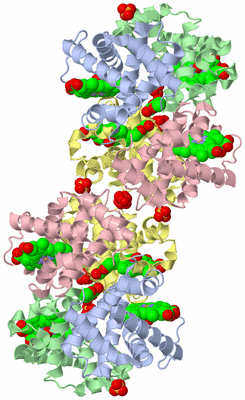 Image Biological Unit 2